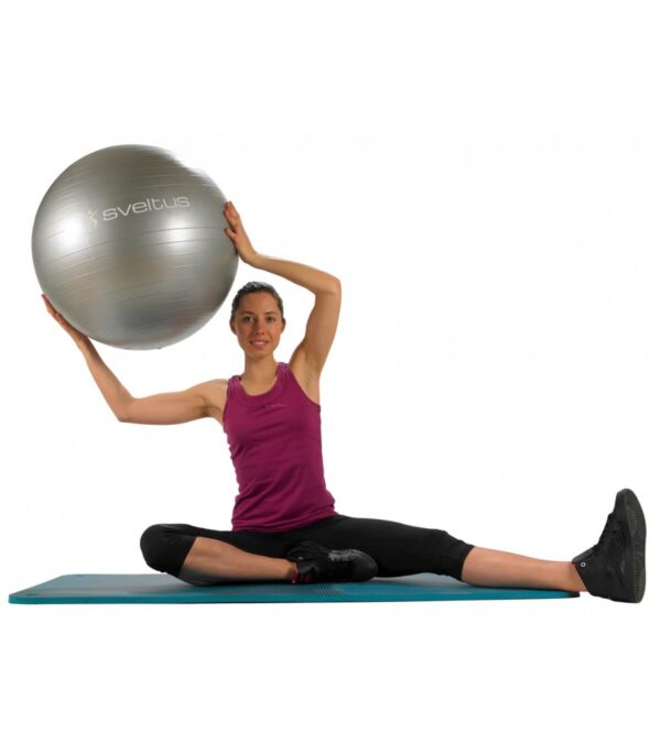 Gymball Ø65 cm - Imagen 2