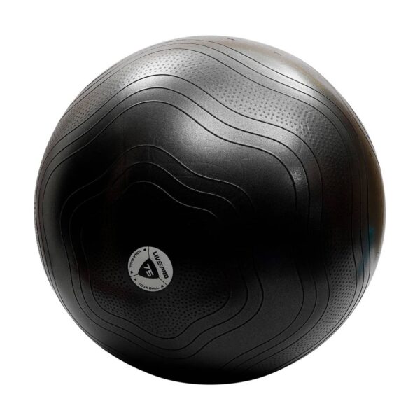 Gymball Ø75 cm LIVEPRO